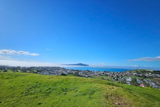 Auckland City Halfday Tour - Why this four-hour route works for a first Auckland visit