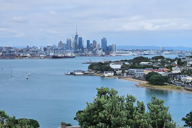 Auckland City Halfday Tour - A guide-led private ride with a useful personal touch