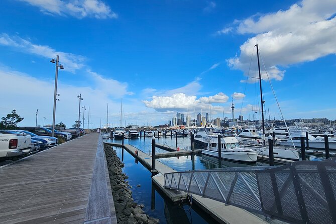 Auckland City Highlight Halfday Tour - The guides can shape the whole afternoon
