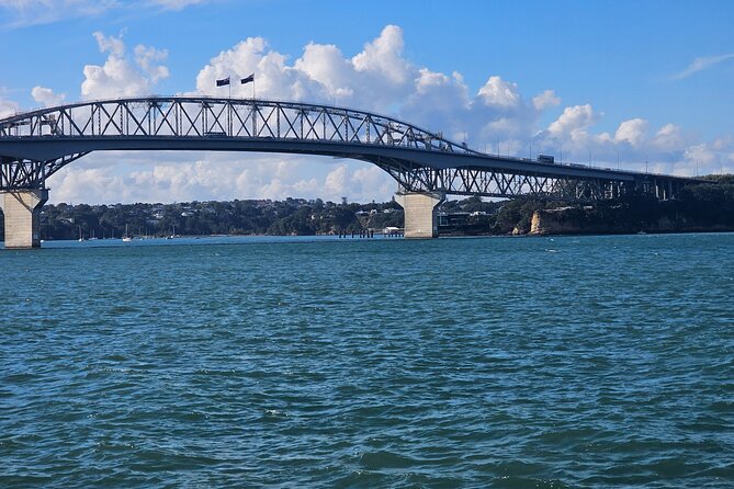 Auckland City Highlight Halfday Tour - What $130.32 per person really buys
