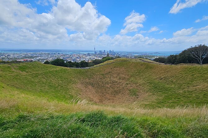 Auckland City Highlight Halfday Tour - Auckland Domain and the Winter Garden