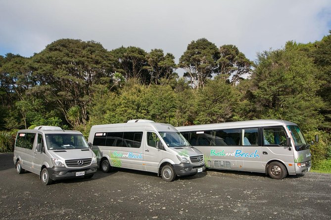 Auckland City Highlights, Afternoon Piha Beach & Rainforest Tour - Guides, group size, and the pace of the day