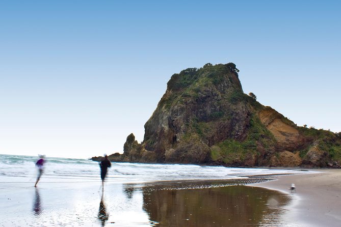 Auckland City Highlights, Afternoon Piha Beach & Rainforest Tour - Mount Victoria Reserve and Narrow Neck Beach