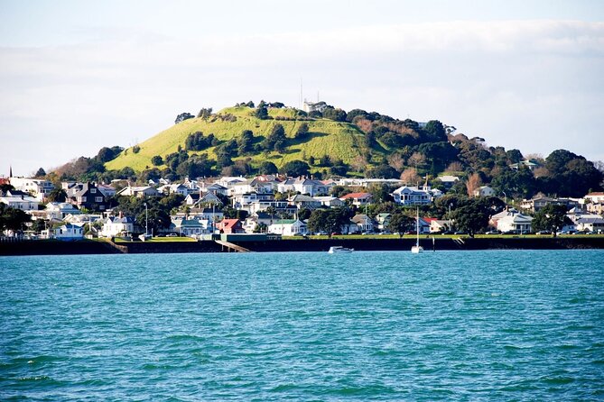 Auckland City Highlights and Hidden Gems Half Day Tour - The guide can shape the whole experience