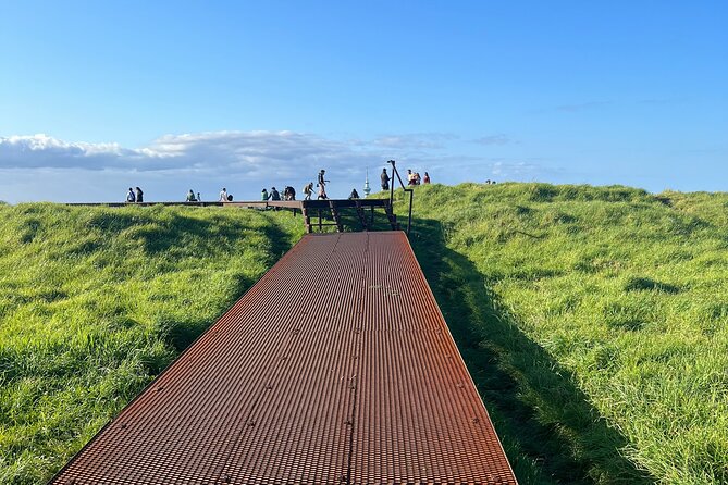 Auckland City Highlights and Hidden Gems Half Day Tour - Crossing Auckland Harbour Bridge