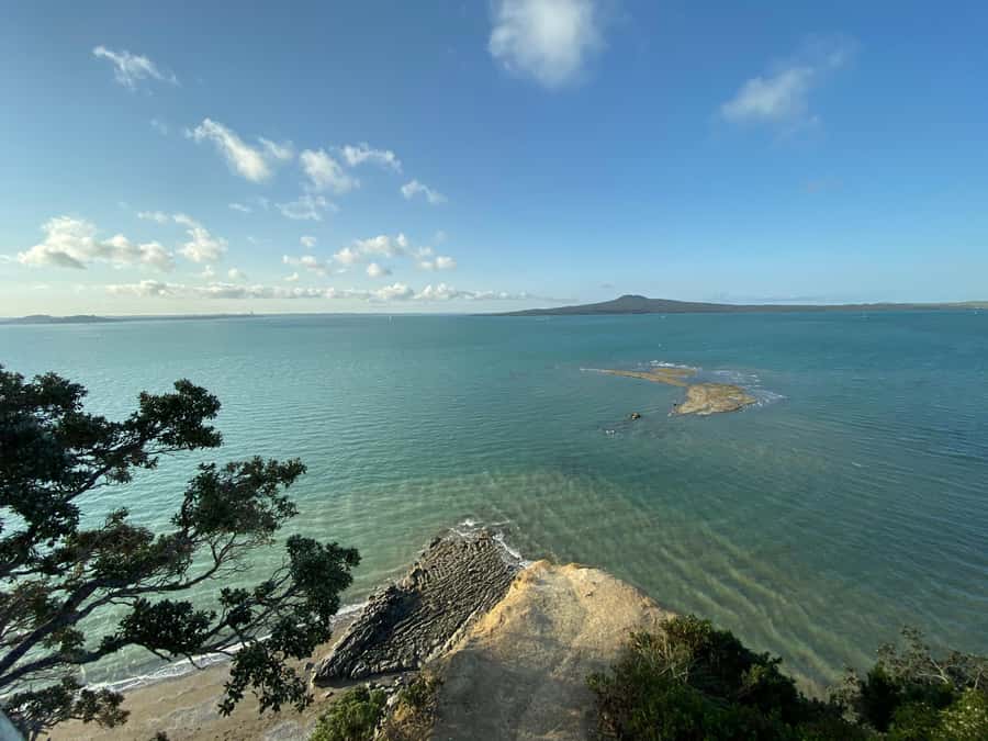 Auckland: City Highlights and Native Forest Experience - One day from Auckland streets to wild black sand