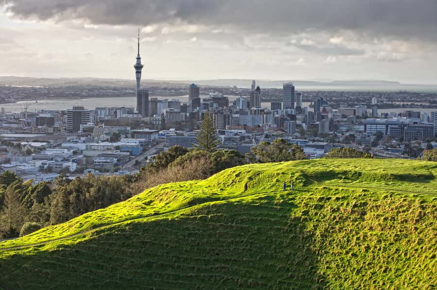 Auckland: City Highlights and Native Forest Experience - The Waitakere Ranges and Arataki Visitor Centre