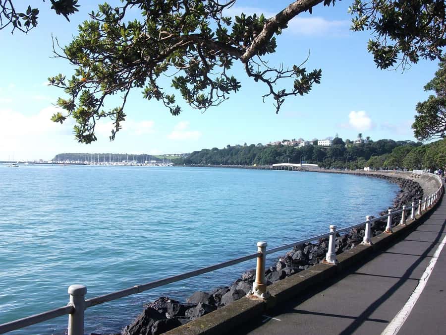 Auckland: City Highlights and Native Forest Experience - Piha Beach, Lion Rock, and the Tasman Sea