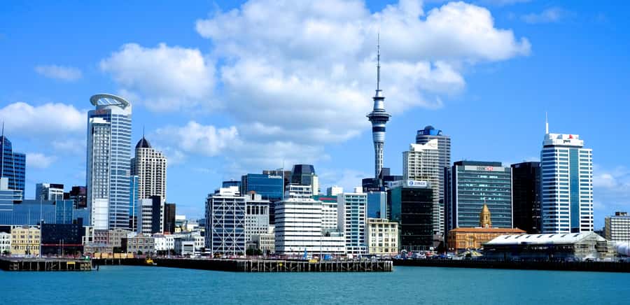 Auckland: City Highlights and Native Forest Experience - Auckland Harbour Bridge and Westhaven Marina