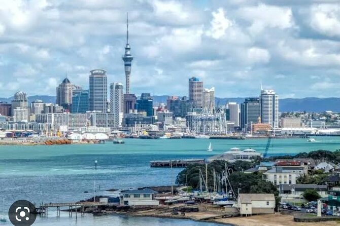 Auckland City Highlights Full Day Tour - What $179 means in practical value