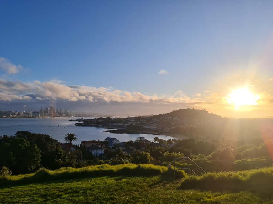 Auckland City Highlights Half Day Tour - Key points at a glance