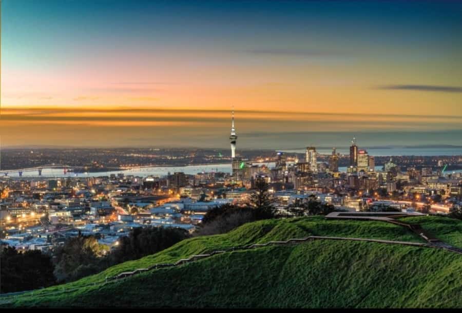 Auckland City Highlights Half Day Tour - Who this Auckland tour suits best