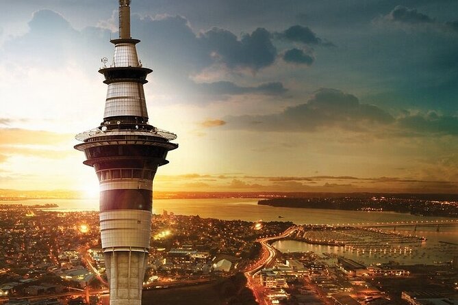 Auckland: City Highlights Private Tour - Key points to know before booking
