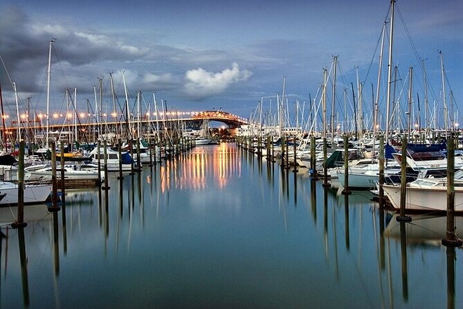Auckland: City Highlights Private Tour - Why this private Auckland tour works well