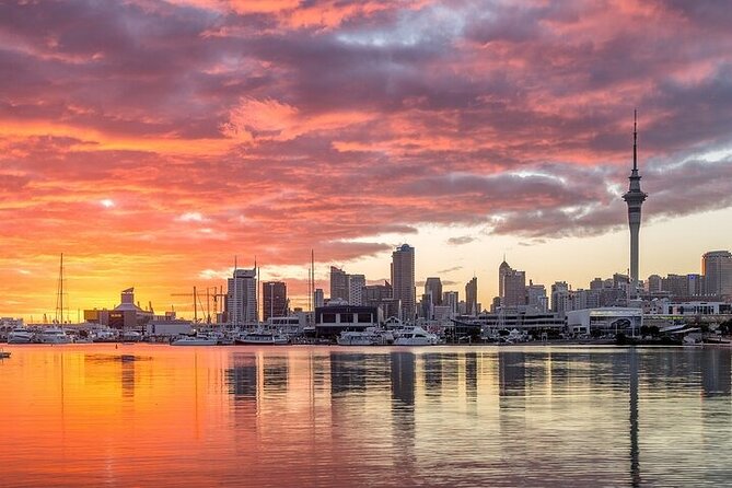 Auckland City Highlights Private Tour - Michael Joseph Savage Memorial Park