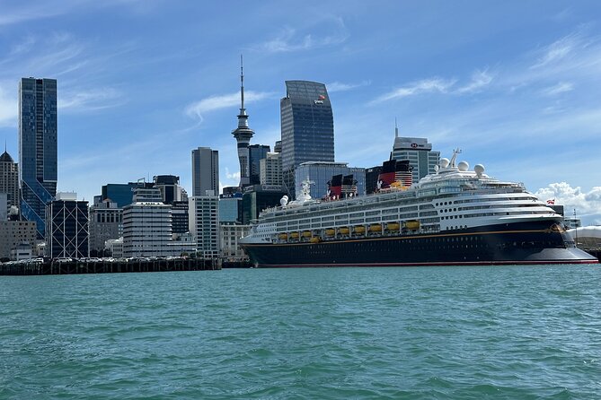 Auckland City Highlights Tour by Car or Van - Auckland Domain and a quieter green pause
