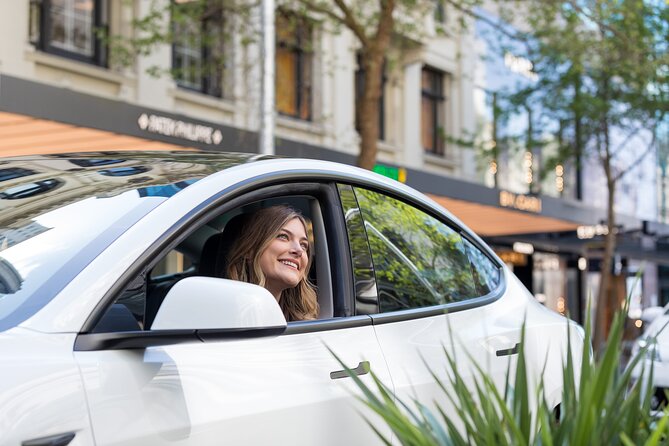 Auckland City Highlights Tour by Car or Van - Auckland port, Britomart, and the modern waterfront