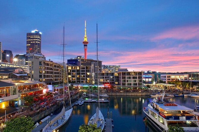 Auckland City Hotel to Cruise Ship Transfer by SUV - Assistance with bags from lobby to ship