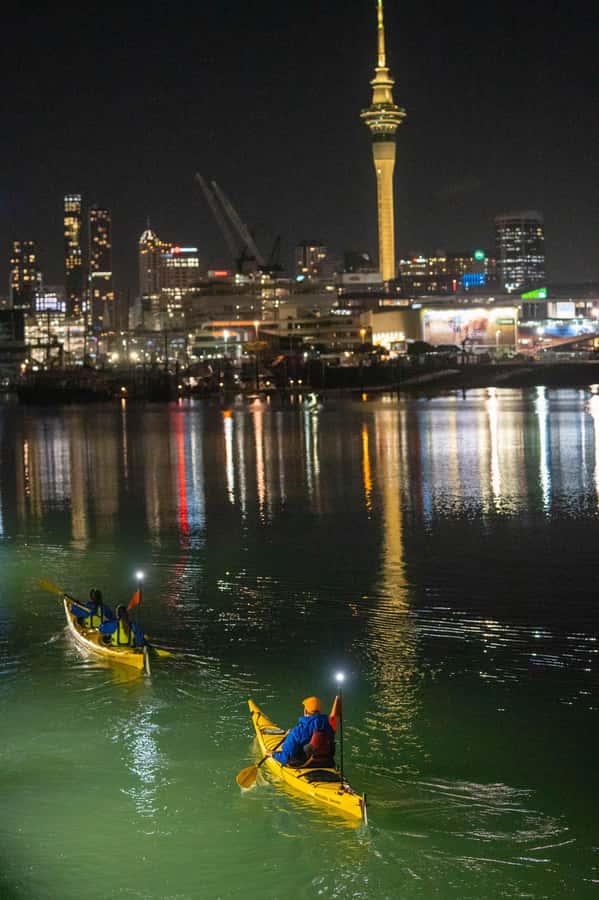 Auckland: City Lights Night Kayak Tour - Along Westhaven Marina as Auckland lights up