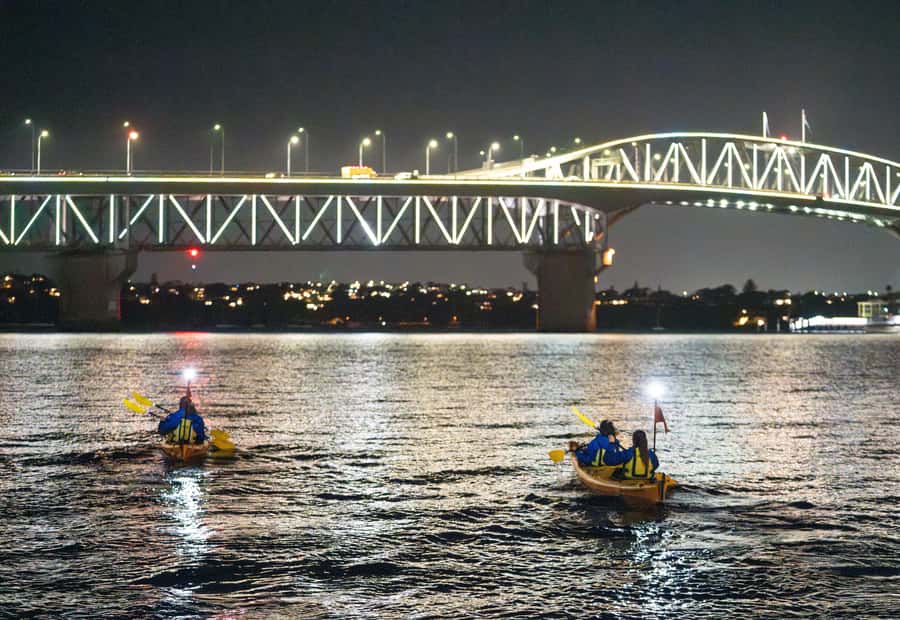Auckland: City Lights Night Kayak Tour - Starting at St Mary’s Bay and Z Pier