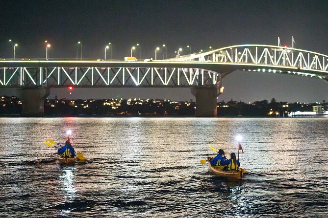 Auckland City Lights Night Kayaking Tour - Why Auckland after dark works so well