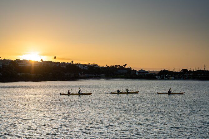 Auckland City Lights Night Kayaking Tour - Paddling beside Westhaven Marina