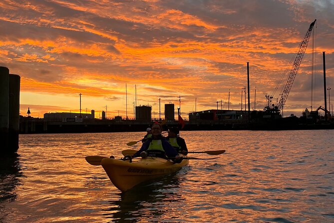 Auckland City Lights Night Kayaking Tour - Wynyard Quarter from the water