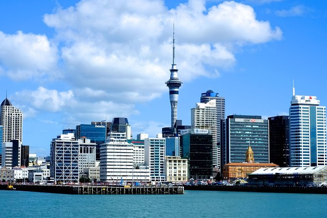 Auckland City & Native Forest Experience - Fully Guided Day Tour - Key reasons this Auckland tour is worth a look