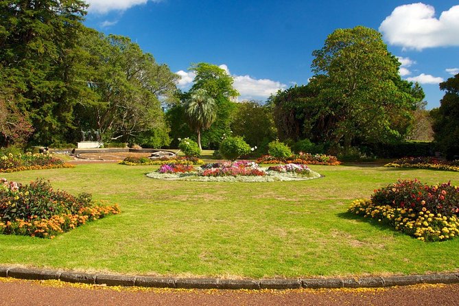 Auckland City & Native Forest Experience - Fully Guided Day Tour - How the schedule feels over eight hours