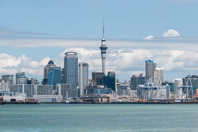 Auckland City & Native Forest Experience - Fully Guided Day Tour - Tamaki Drive, Mission Bay, and Bastion Point