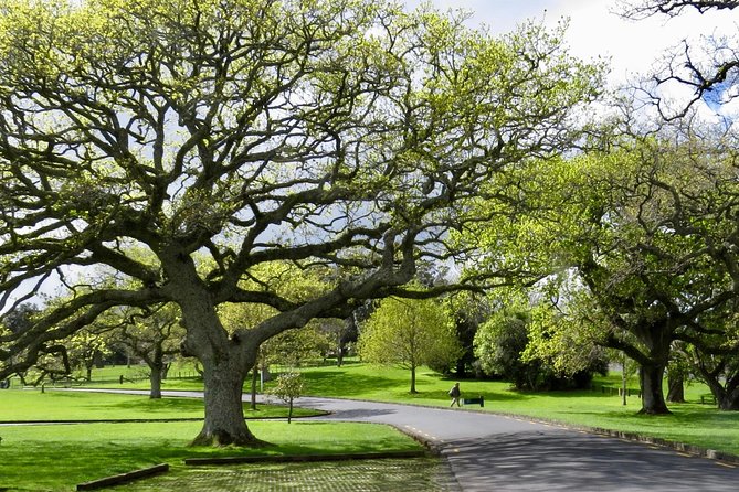 Auckland City Private Tour for Couples. Be chauffeur driven with added extras. - Mission Bay brings the city down to the water