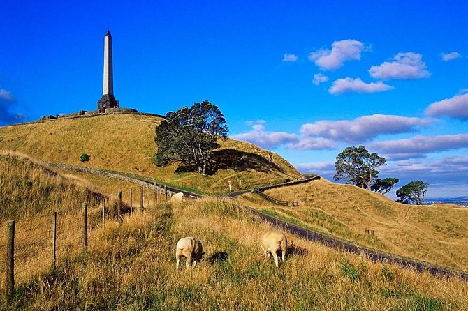 Auckland City Private Tour for Couples. Be chauffeur driven with added extras. - Mount Eden gives you the essential city view