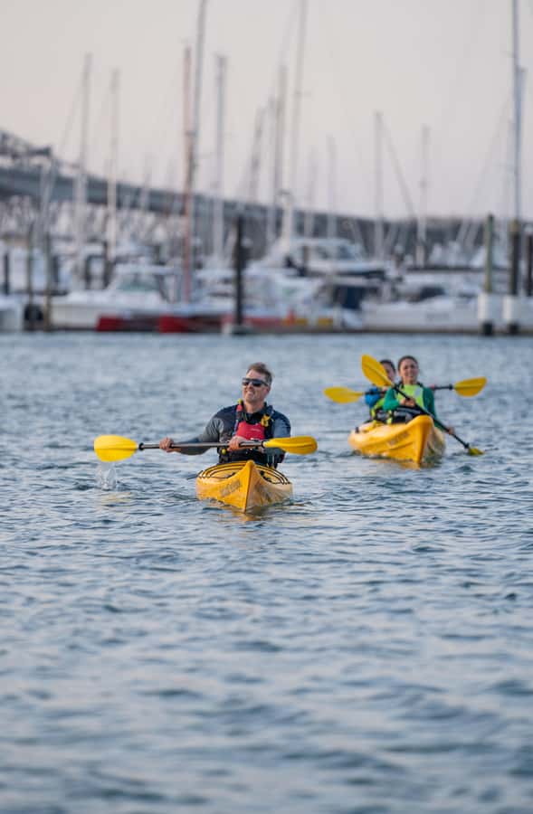 Auckland: City Scenes Kayak Tour - Key points to know before you paddle