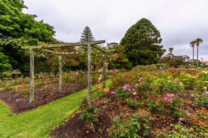 Auckland City Self Guided Walking Tour with an APP - What $9.99 really gets you