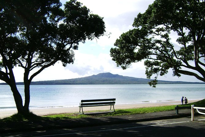Auckland City Small-Group Morning Discovery Tour - What this Auckland morning tour is really for