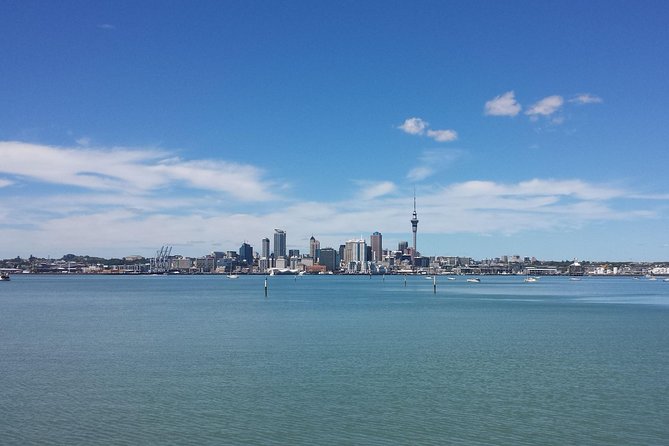 Auckland City Small-Group Morning Discovery Tour - Is $65.16 good value?