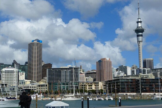 Auckland City Top Sights Half Day Tour - Small Group - What the guide and vehicle service add