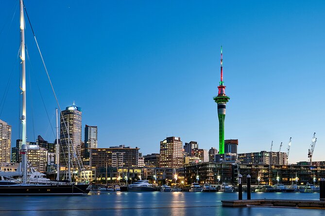 Auckland City Top Sights Half Day Tour - Small Group - Westhaven Marina and Auckland’s sailing identity