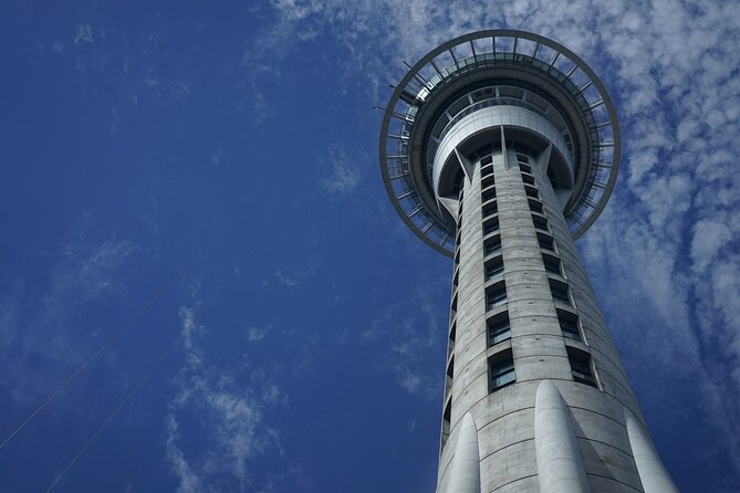 Auckland Coastal Discovery - Private Tour Incl. Wine Tasting - Tamaki Drive, Mission Bay, and the eastern bays