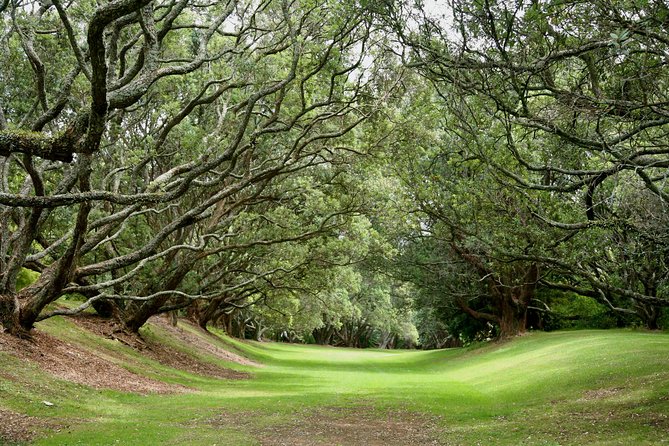 Auckland Coastal Experience - Small Group City & Beach Tour Incl. Wine Tasting - Bastion Point and Achilles Point: the day’s best city panoramas