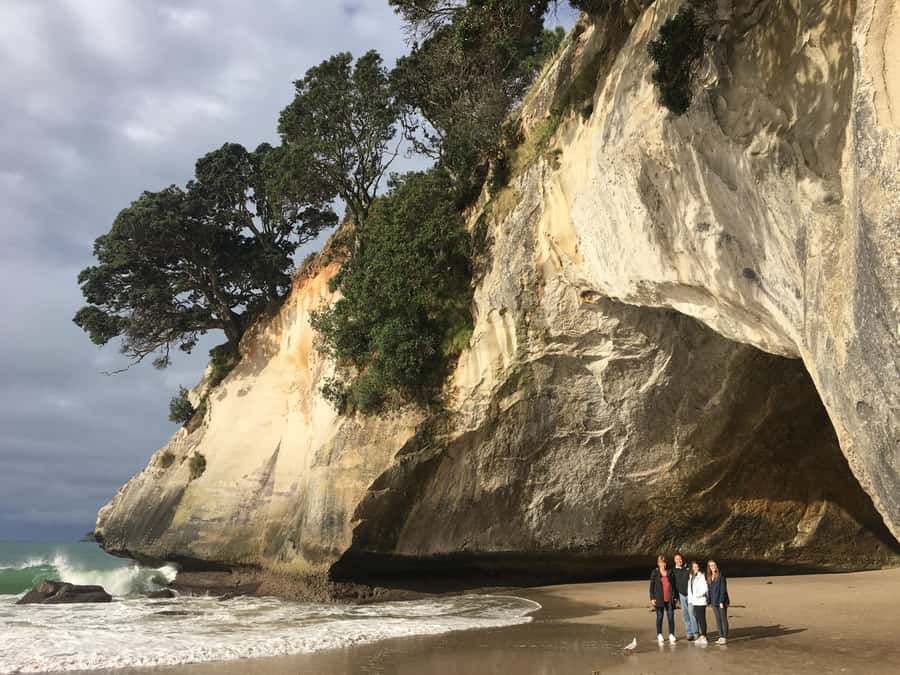 Auckland: Coromandel Day Tour including Hot Water Beach - Key points to know before you go