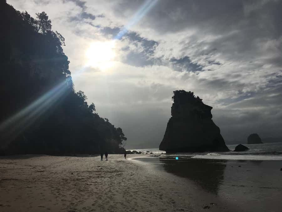Auckland: Coromandel Day Tour including Hot Water Beach - Riding through the forest at Driving Creek Railway