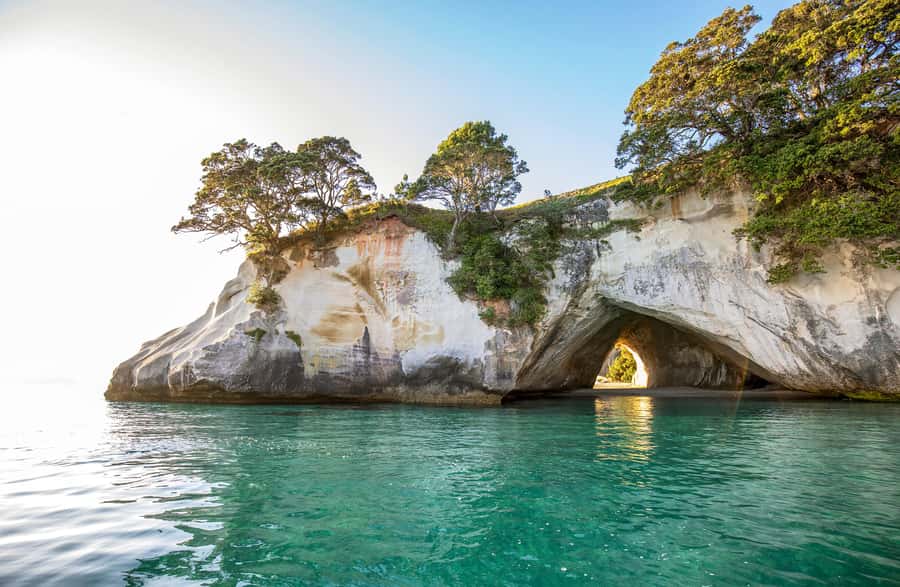 Auckland: Coromandel Driving Creek & Cathedral Cove Day Tour - Key points at a glance