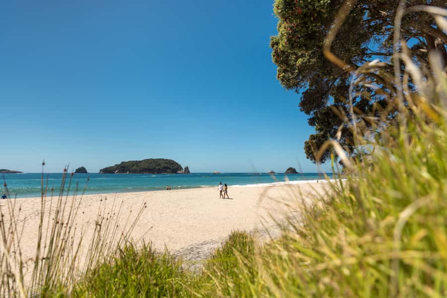 Auckland: Coromandel Driving Creek & Cathedral Cove Day Tour - Whitianga gives the day some breathing room