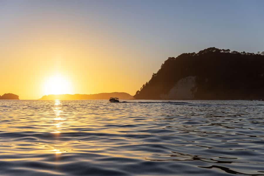 Auckland: Coromandel Driving Creek & Cathedral Cove Day Tour - Cathedral Cove: the scenic walk and the sea approach