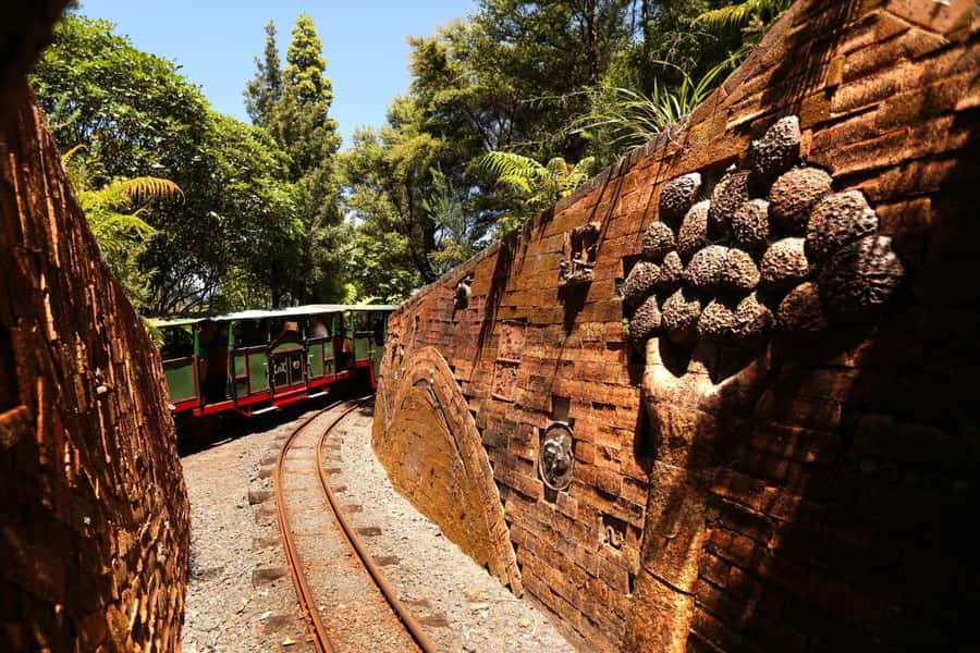 Auckland: Coromandel Driving Creek & Cathedral Cove Day Tour - The return to Auckland