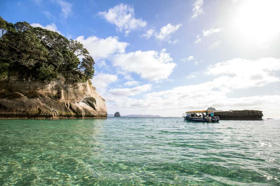Auckland: Coromandel Driving Creek & Cathedral Cove Day Tour - Who should book this tour?