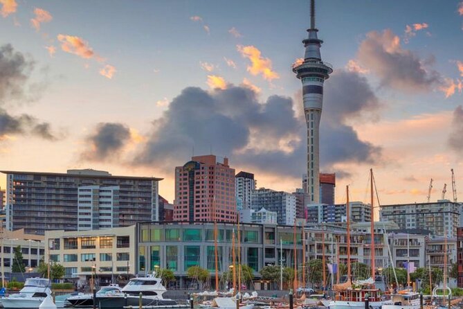 Auckland Downtown Hotel Transfers to/from Cruise Ship in Minivan - Who Will Like This Minivan Service Most?