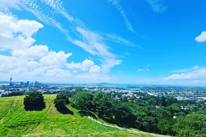 Auckland Full Day Attractions & Museums Tour - Finding calm among the Auckland Domain Wintergardens