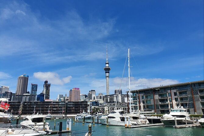 Auckland Full Day Attractions & Museums Tour - Exploring Auckland Art Gallery Toi o Tāmaki